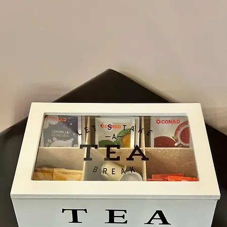 Vacanze Romane 7 Languages Roma